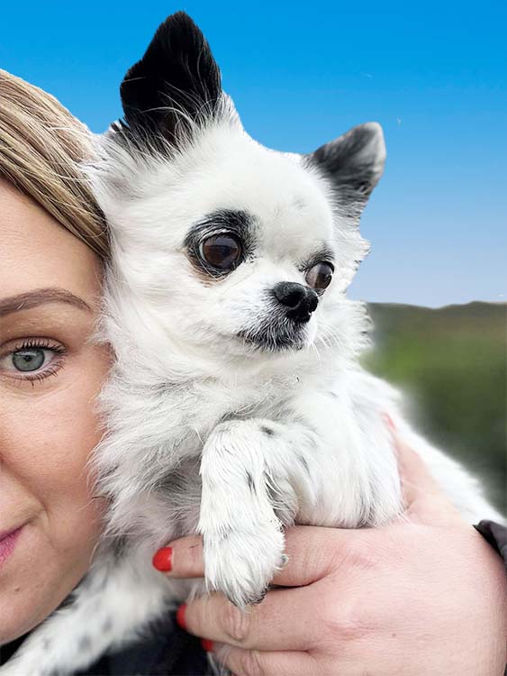 Female Canine Carer holding tiny Chihuahua