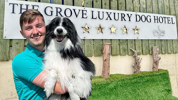 Smiling Canine Carer holding a very happy Border Collie in front of a huge sign with 5 shiny gold stars and our logo emblem, a modern chandelier in a reflective, shiny mirror-finish
