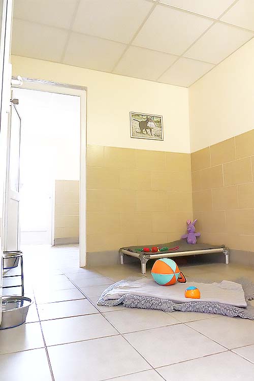 The Bedroom area has raised beds, rugs and lots of toys. There is a picture of a dog on the wall and a raised water bowl