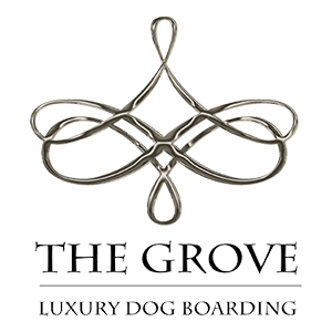 Our logo, a sparkling chrome modern chandelier