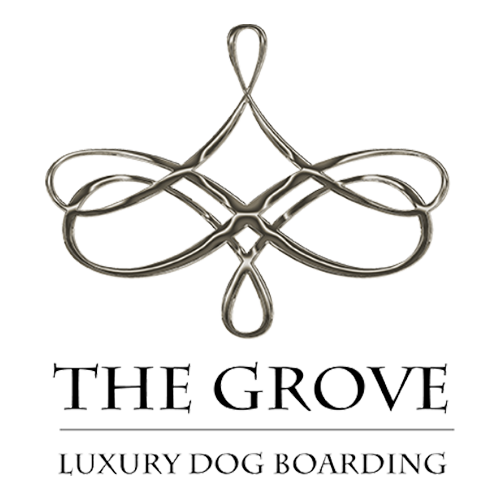 Our logo, a sparkling chrome chandelier