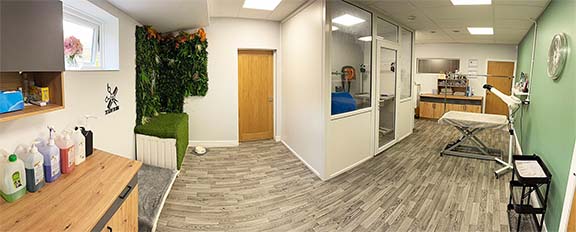 Panoramic view of the Dog Grooming Salon.