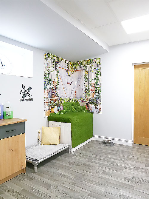 Photographic studio area