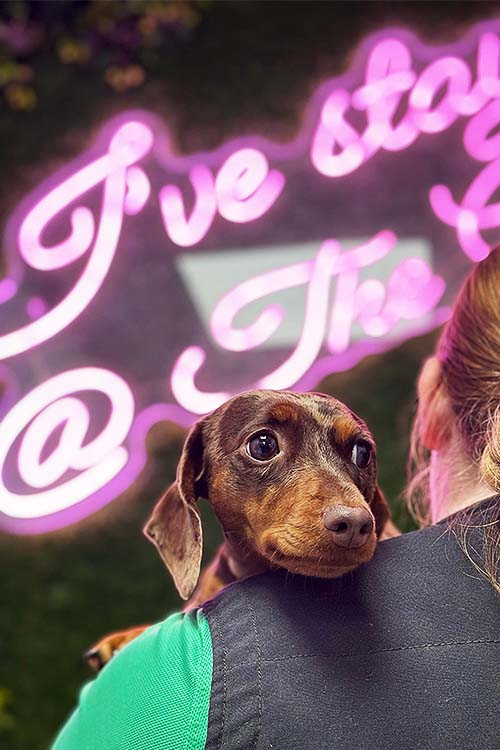 Bentley being held by his Mummy in front of our Selfie Wall, a faux foliage wall with pink roses and a pink and white neon sign saying I've stayed at The Grove